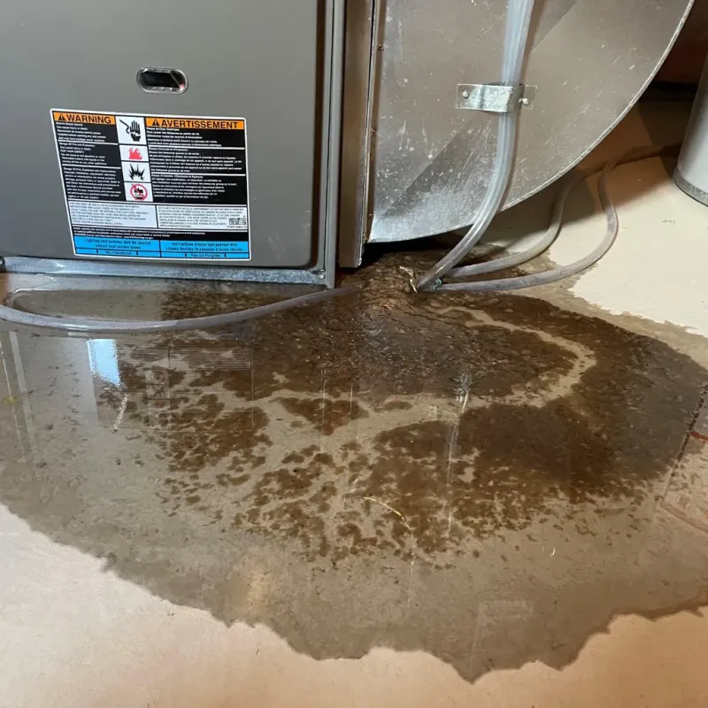 Appliance Leak Cleanup in Berkeley Lake, GA